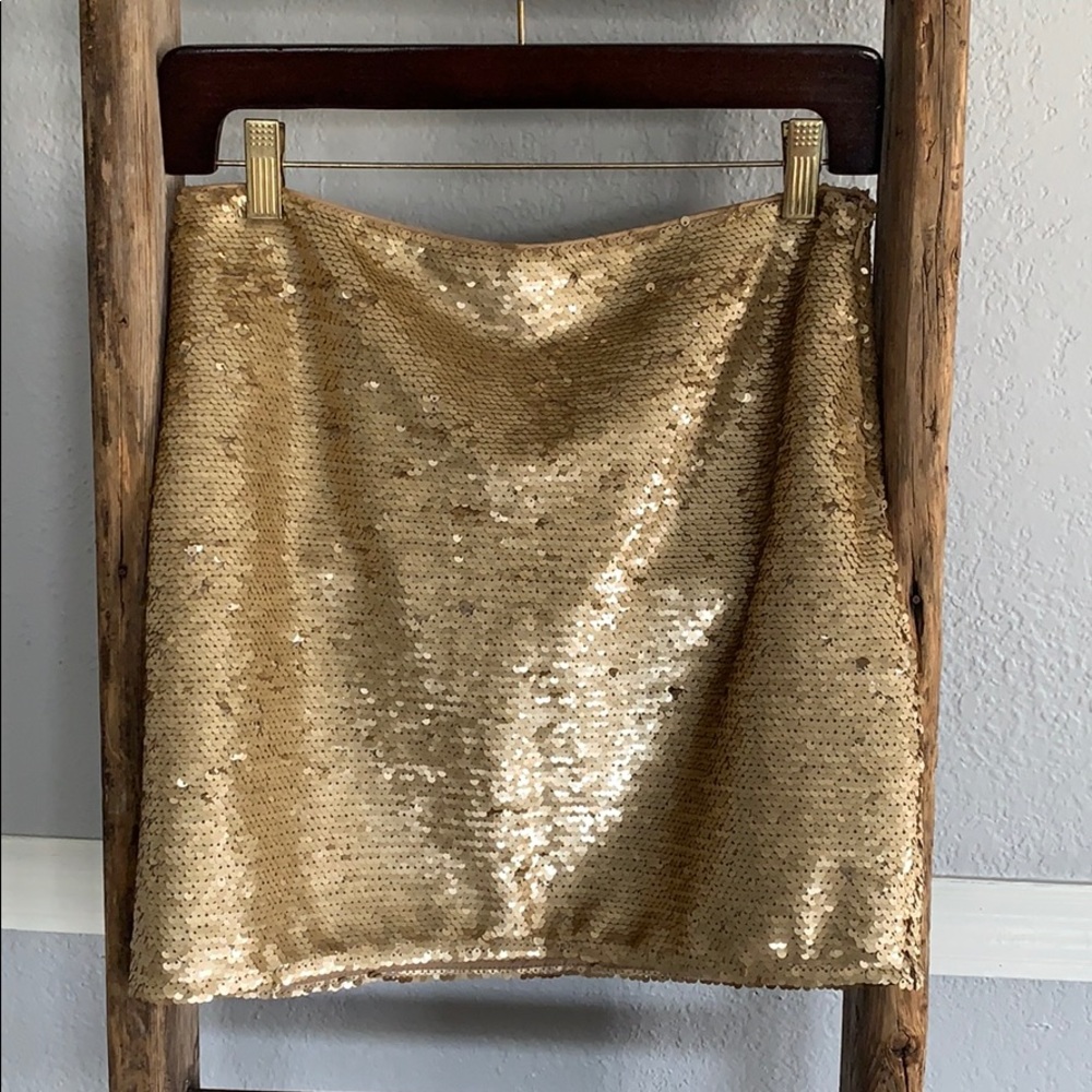 Sequin Skirt
